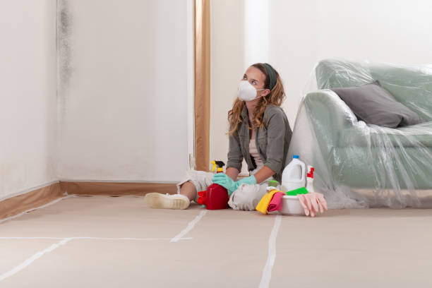 Reliable Black Mold Remediation contractor in Spring Branch, TX by Mold Remediation HQ